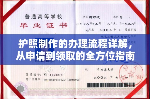 屏南护照制作的办理流程详解，从申请到领取的全方位指南