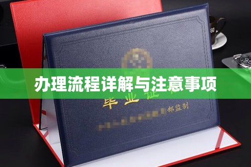 乐清办理流程详解与注意事项